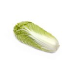 Chinese Cabbage