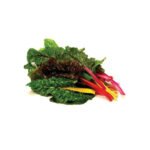 Swiss Chard