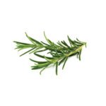 Rosemary